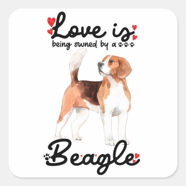 Die Liebe wird von einem Beagle gehalten Quadratischer Aufkleber (Vorderseite)
