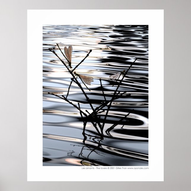 Die Liebhaber - Les amants Poster (Vorne)