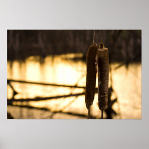 Die Liebhaber Poster