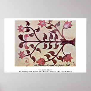 Die Linse-Pflanze Poster