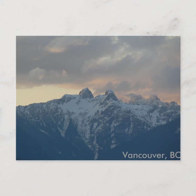 Die Löwen - Vancouver, BC Postkarte (Vorderseite)