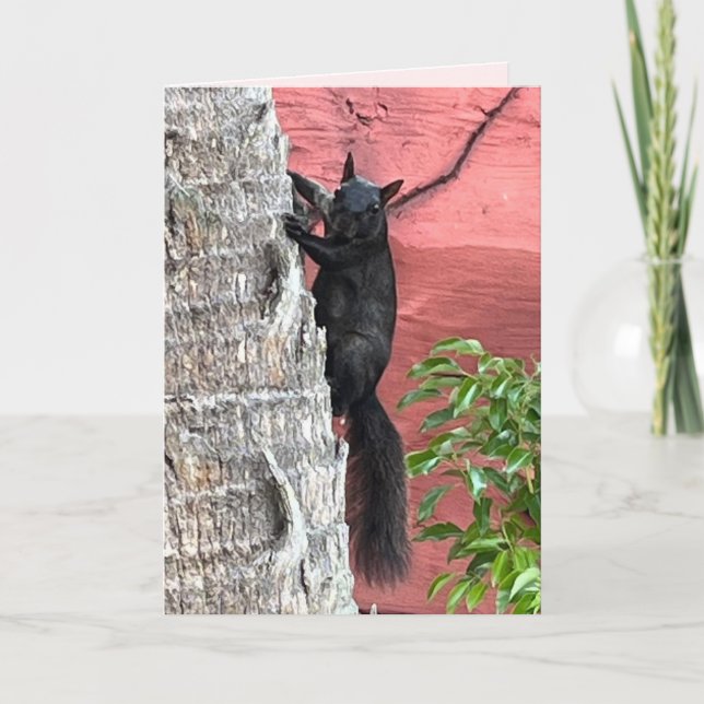 Die lusive schwarze Eichhörnchen-Grußkarte Karte (Vorderseite)