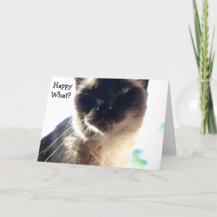 Die lustige Geburtstagskarte mit Katze: Happy What Karte