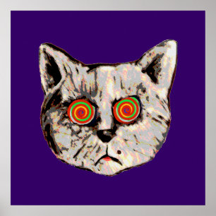 Die lustige verrückte Katze Poster