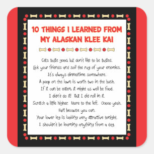 Die lustigen Dinge, die ich von meinem Alaskan Kle Quadratischer Aufkleber
