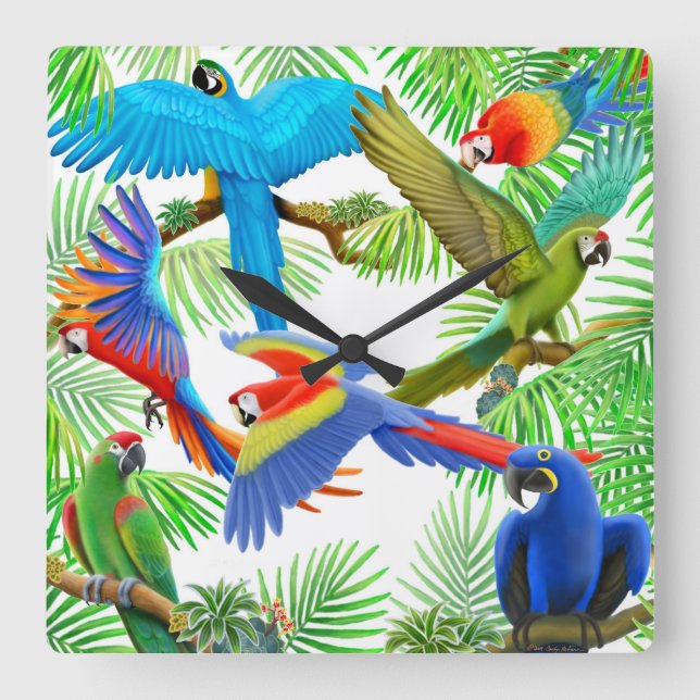 Die Macaw-Papagei-Dschungel-Uhr Quadratische Wanduhr (Vorderseite)