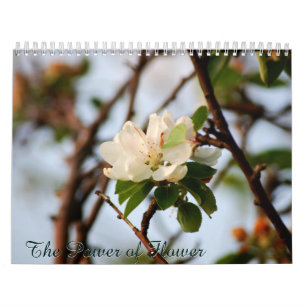 Die Macht der Blume Kalender