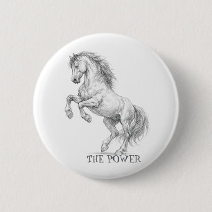 Die Macht des Hengstes   Majestätisches Pferd Graf Button