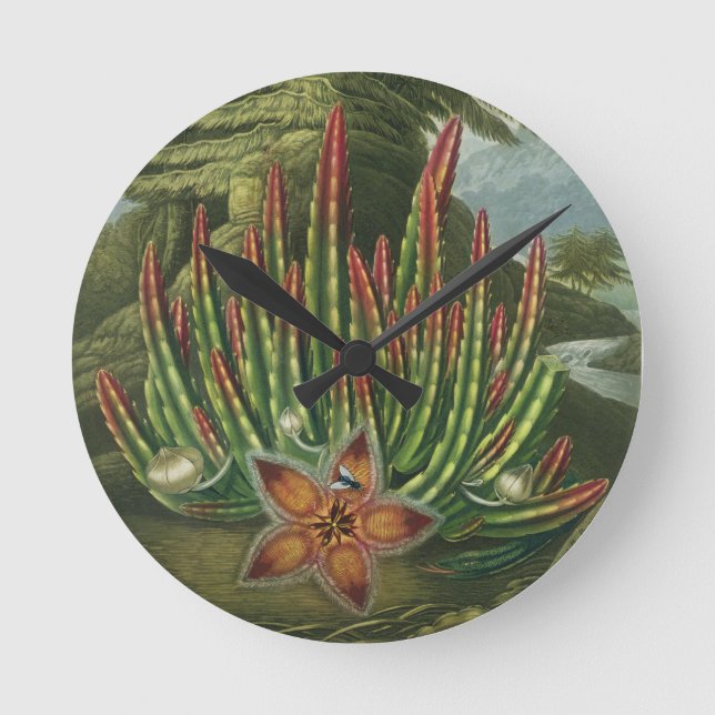 Die Maggot-Baring Stapelia, in die Stadler eingegr Runde Wanduhr (Vorderseite)