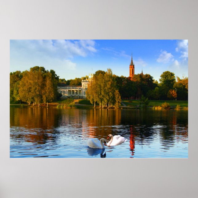 Die Magie des Schwanensees Poster (Vorne)