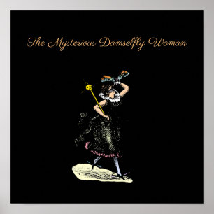 Die magische Verdammnisfrau Poster