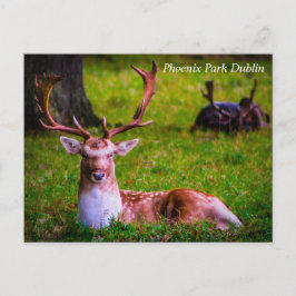 Die Majestät der Natur im Phoenixpark Feiertagspostkarte