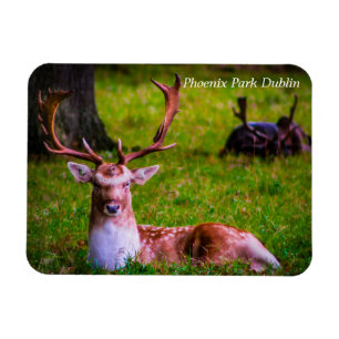 Die Majestät der Natur im Phoenixpark Magnet