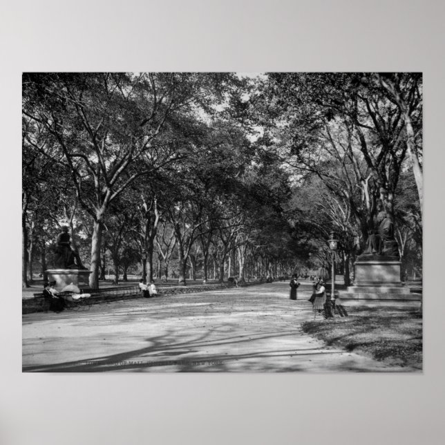 Die Mall im Central Park in New York City Poster (Vorne)