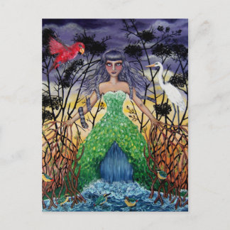 Die Mangroven Postkarte