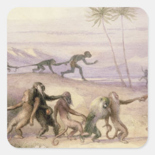 Die Mannschaften und die Gebräuche der Affen Quadratischer Aufkleber