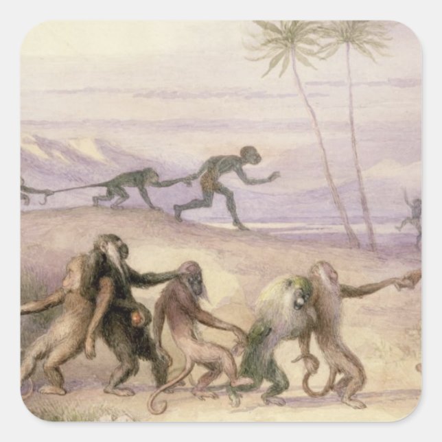 Die Mannschaften und die Gebräuche der Affen Quadratischer Aufkleber (Vorderseite)