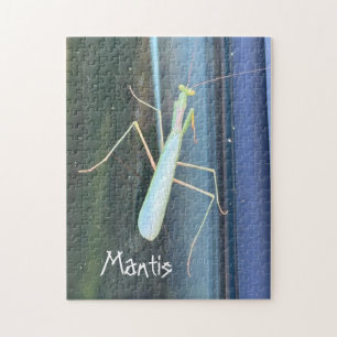 Die Mantis Puzzle