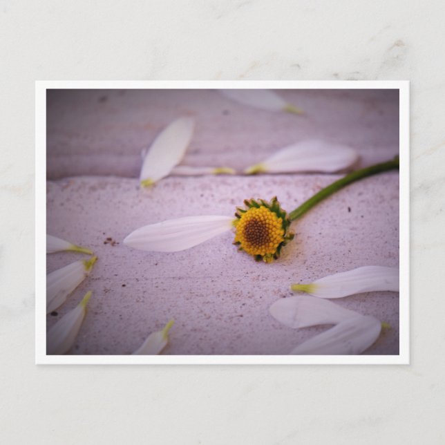 "Die Margaret sagte: JA!" Postkarte (Vorderseite)