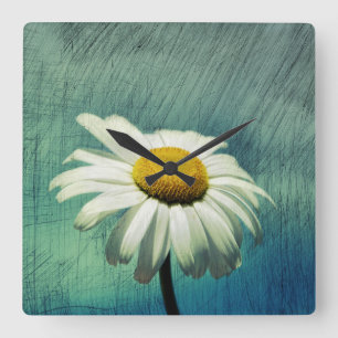 Die Margerite Quadratische Wanduhr