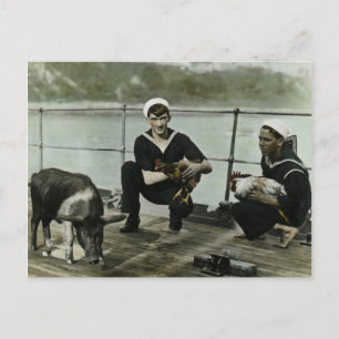 Die Maskottchen Vintager Seefahrerroster des Zweit Postkarte