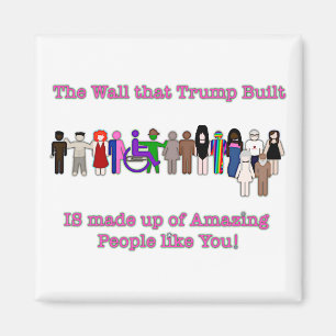 Die Mauer, die Trump errichtet hat Magnet