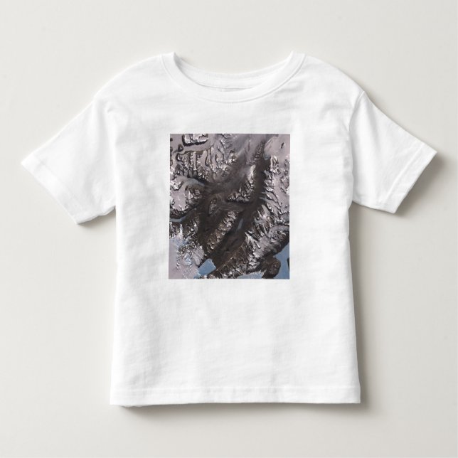 Die McMurdo Dry Valleys Kleinkind T-shirt (Vorderseite)