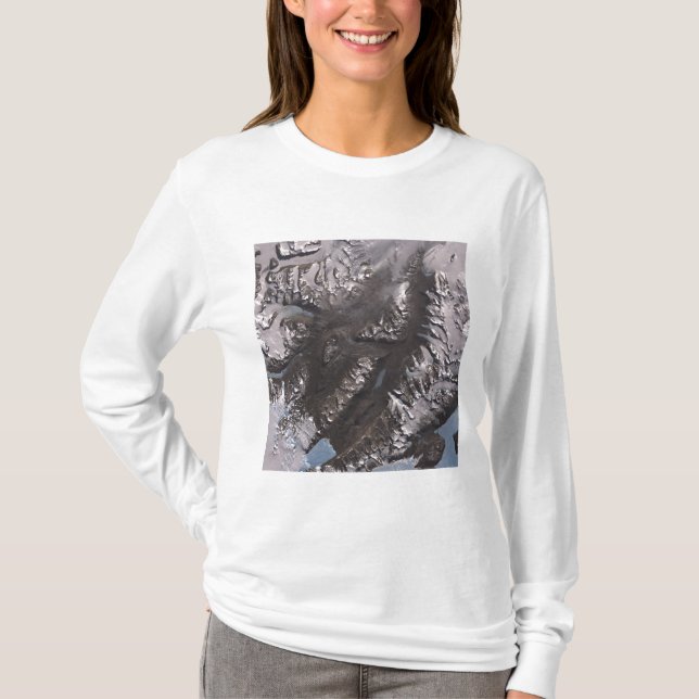 Die McMurdo Dry Valleys T-Shirt (Vorderseite)