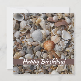Die Meeresbucht am Geburtstag