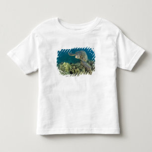 Die Meeresschildkröte (Chelonia mydas) ist die zwe Kleinkind T-shirt