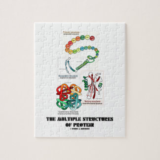 Die mehrfachen Strukturen des Proteins (Biologie) Puzzle