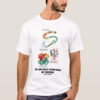 Die mehrfachen Strukturen des Proteins T-Shirt