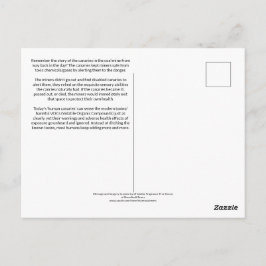 Die menschlichen Kanarienvögel wissen es bereits Postkarte