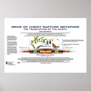 Die Metamorphose der Braut Christi Poster