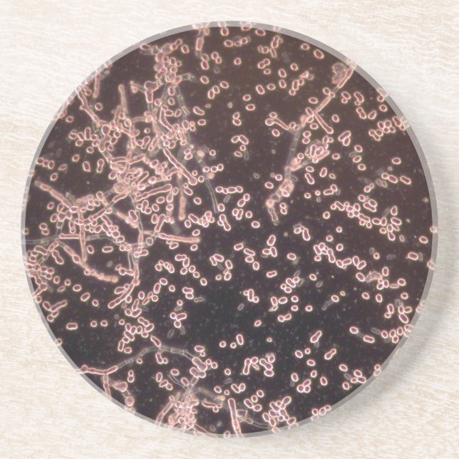 die mikroskopische Hefe 3D machte Berg nass Untersetzer (Vorne)