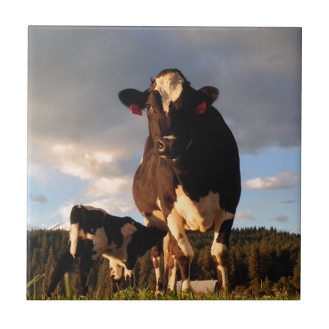 Die Milch der Mama Fliese (Vorderseite)