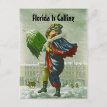 DIE MITTEILUNGS-WINTER-ADRESSEN-POSTKARTE DES