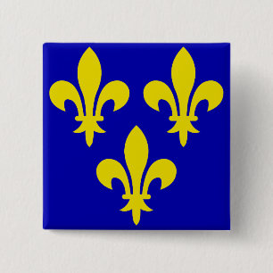 Die mittelalterliche Flagge Frankreichs Button