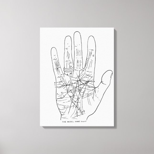Die Modellhand Leinwanddruck (Vorderseite)