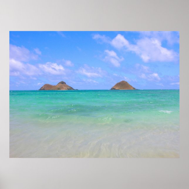 Die Mokes Poster (Vorne)