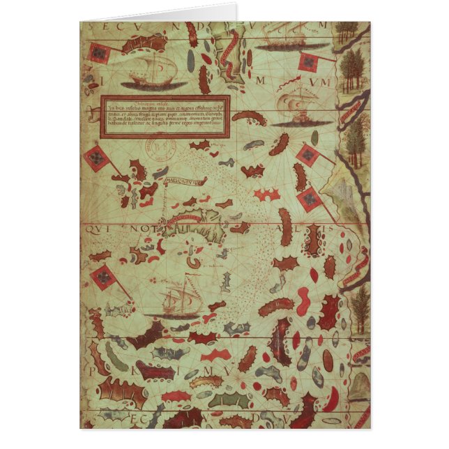 Die Molukken (Vorne)