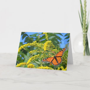 Die Monarchen - Blanche Grußkarte Karte