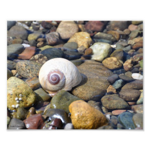 Die Mondnagel am Strand Fotodruck