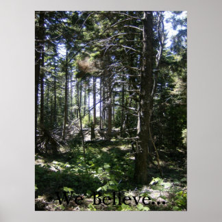 Die Monhegan Fairy Poster