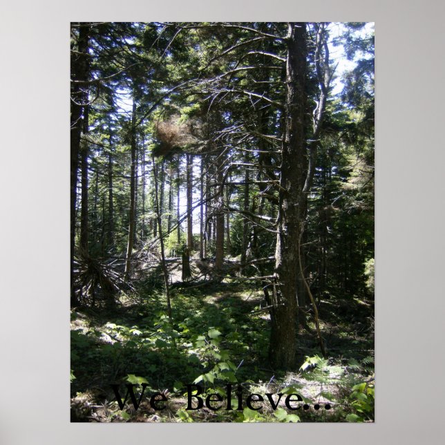 Die Monhegan Fairy Poster (Vorne)