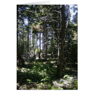 Die monheganische Märchenkarte