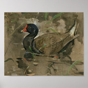 Die Moorhen   Joseph Crawhall Poster