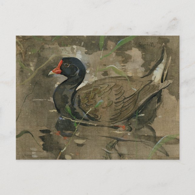 Die Moorhen | Joseph Crawhall Postkarte (Vorderseite)