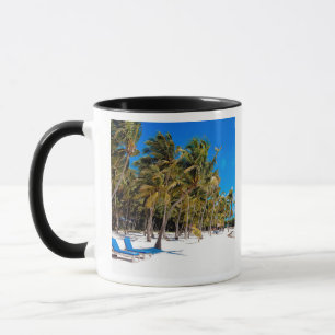 Die Moorings Resort, Marathon, Key West, 3 Tasse
