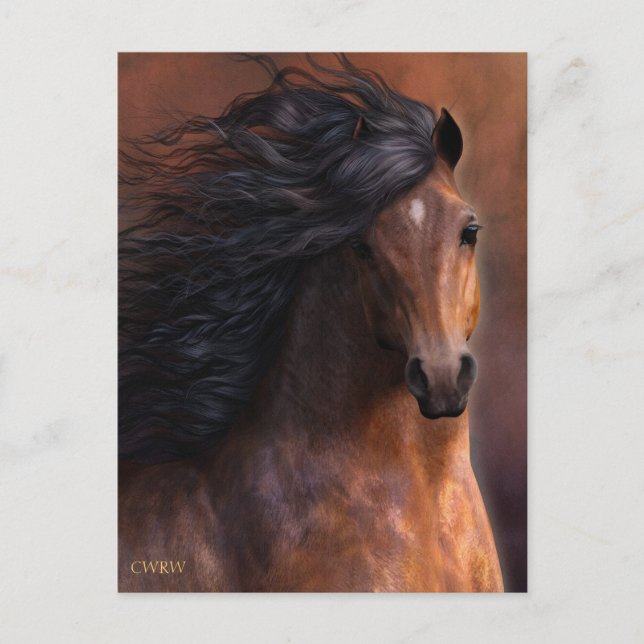 Die Morgan Horse Postkarte (Vorderseite)